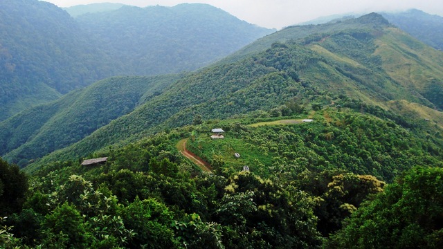 Diengiei Peak Car Hire