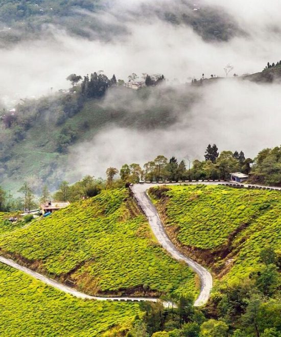 Darjeeling Tour Package 5 Nights 6 Days