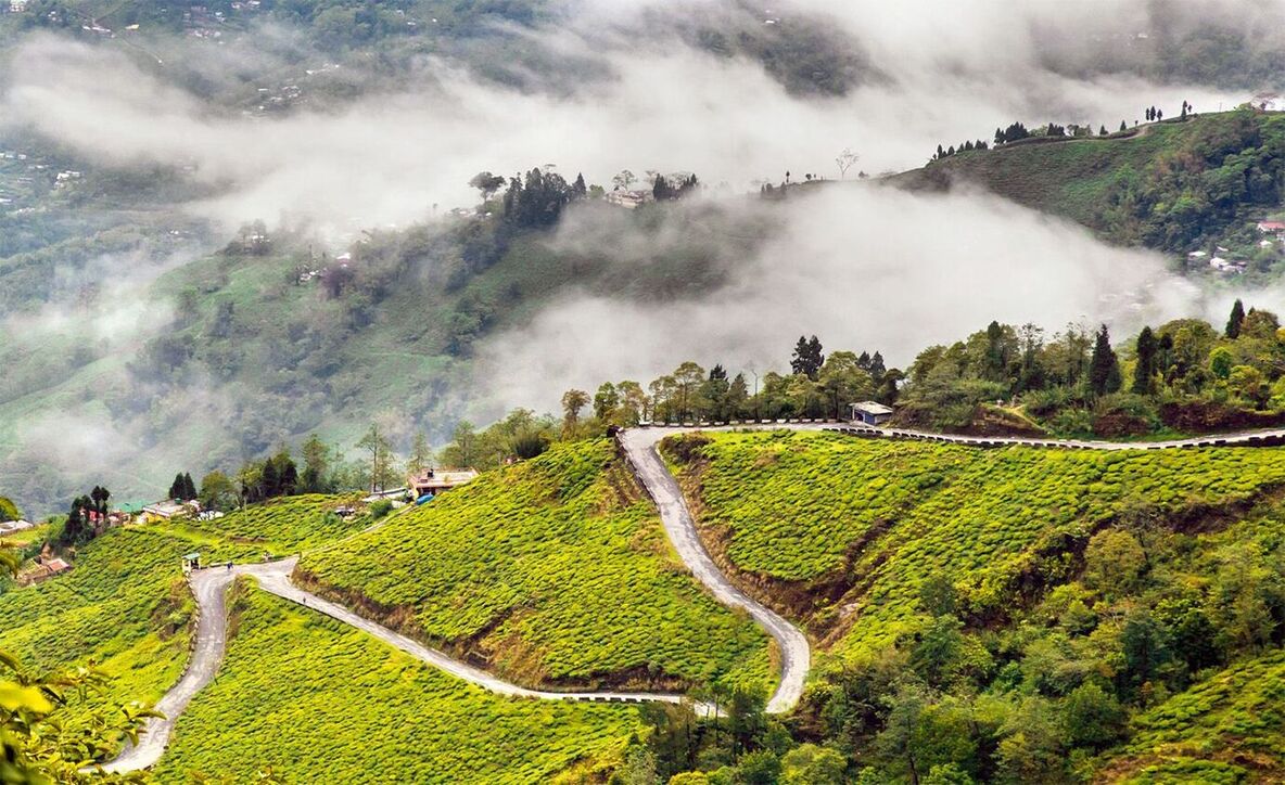 Darjeeling Tour Package 5 Nights 6 Days