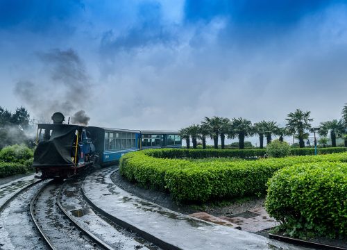 Darjeeling Tour