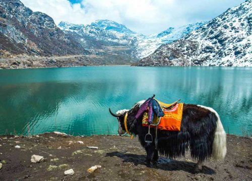 Gangtok Taxi Service